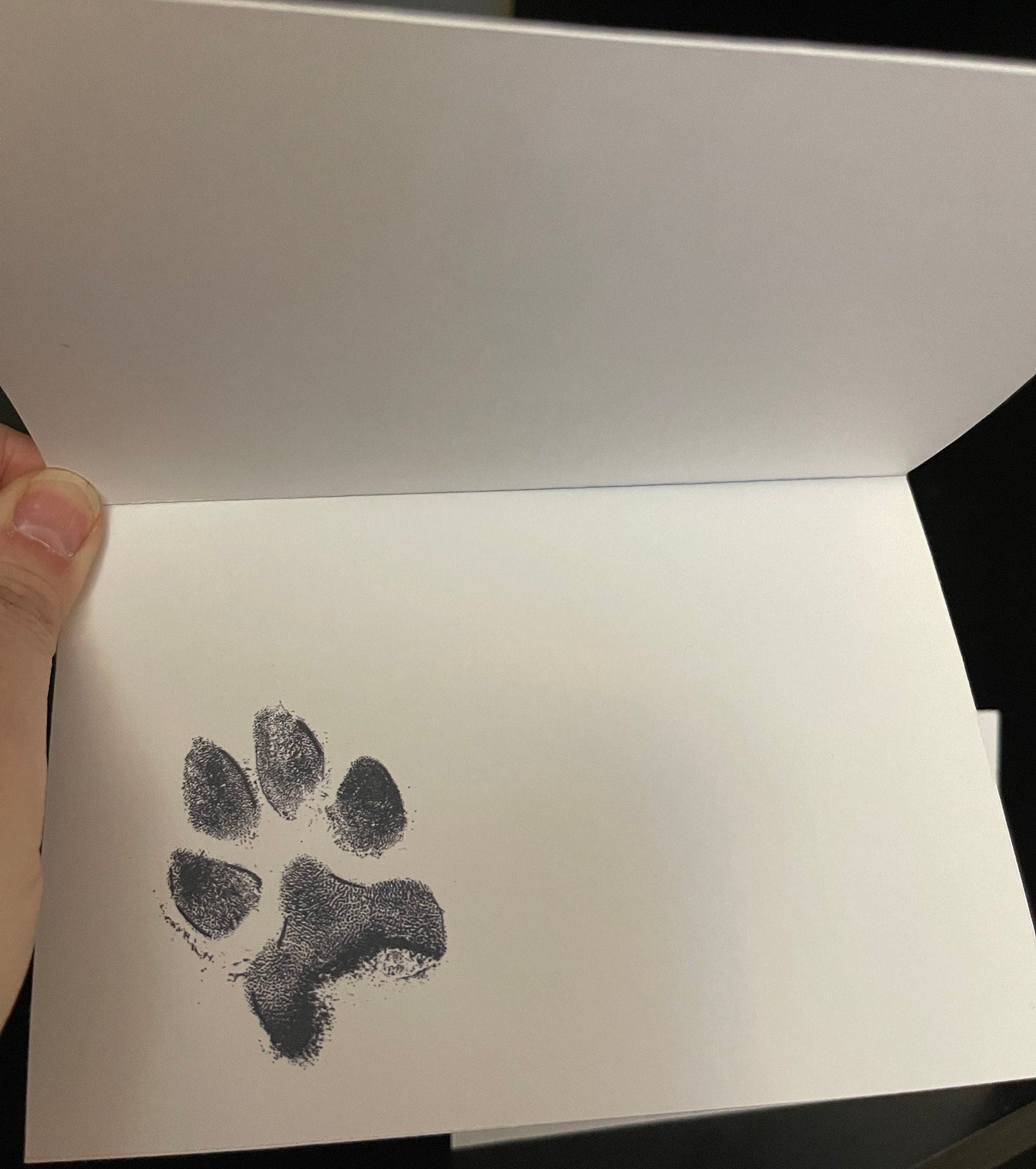 The Rookie Greeting Cards, Card Bundle, Kojo, Happy Birthday, Thinking of You