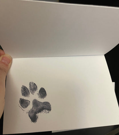 The Rookie Greeting Cards, Card Bundle, Kojo, Happy Birthday, Thinking of You